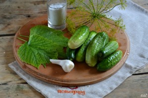 Засолка огурцов без закатки Засолка огурцов без закатки